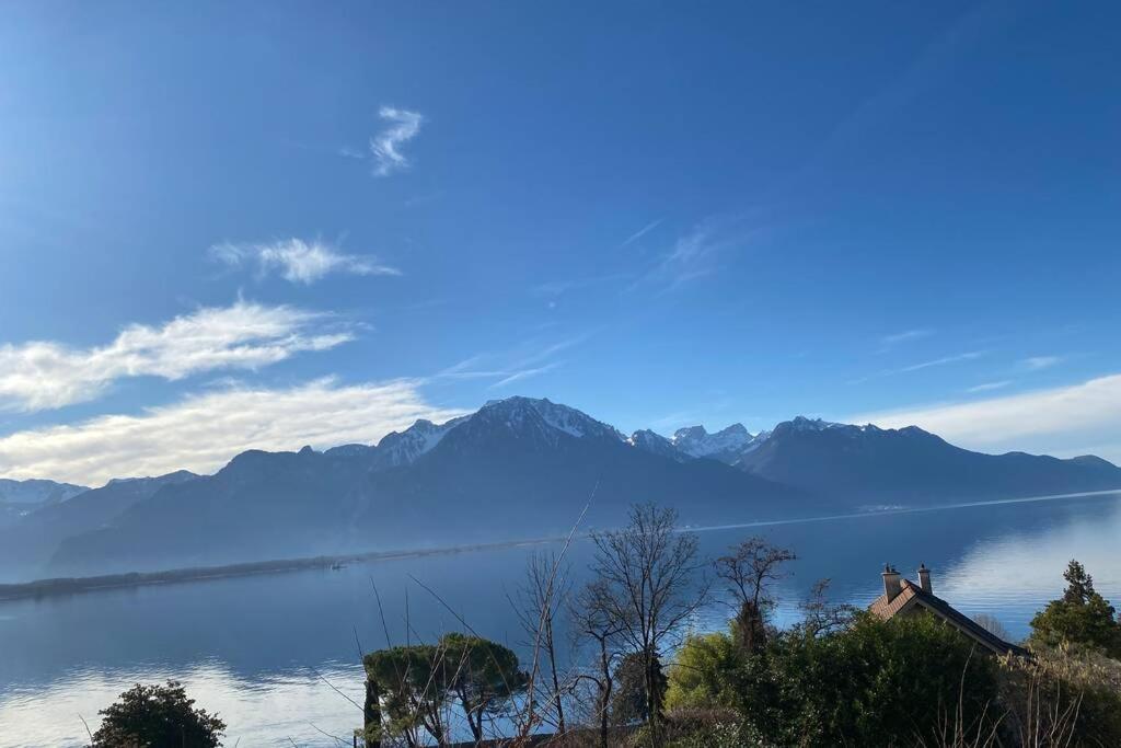 Studio Vue Panoramique Sur Le Lac Leman Veytaux Zewnętrze zdjęcie