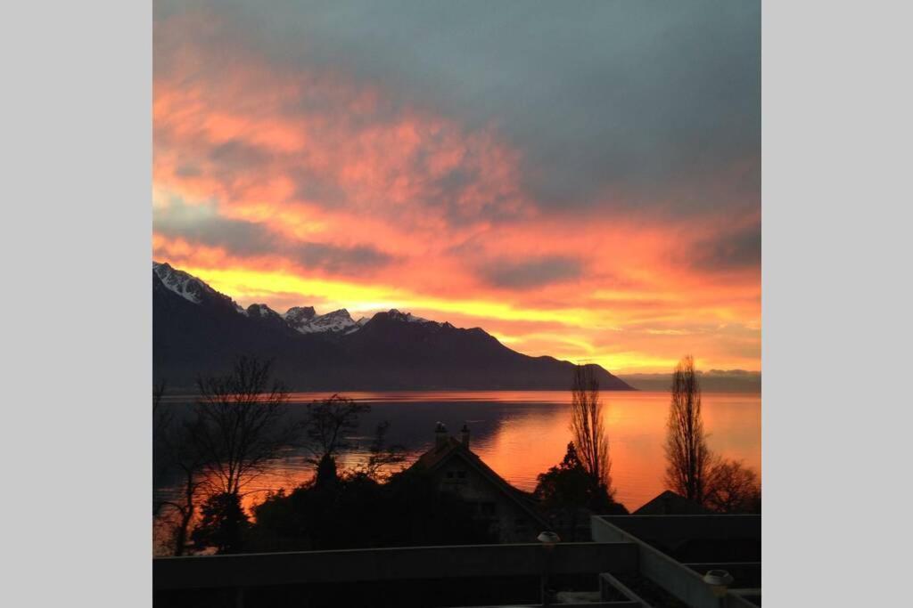 Studio Vue Panoramique Sur Le Lac Leman Veytaux Zewnętrze zdjęcie